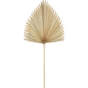 Arrowhead Palm Leaf – Natural